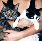 �Ђ��܂ꂢ���@�v���t�B�[��